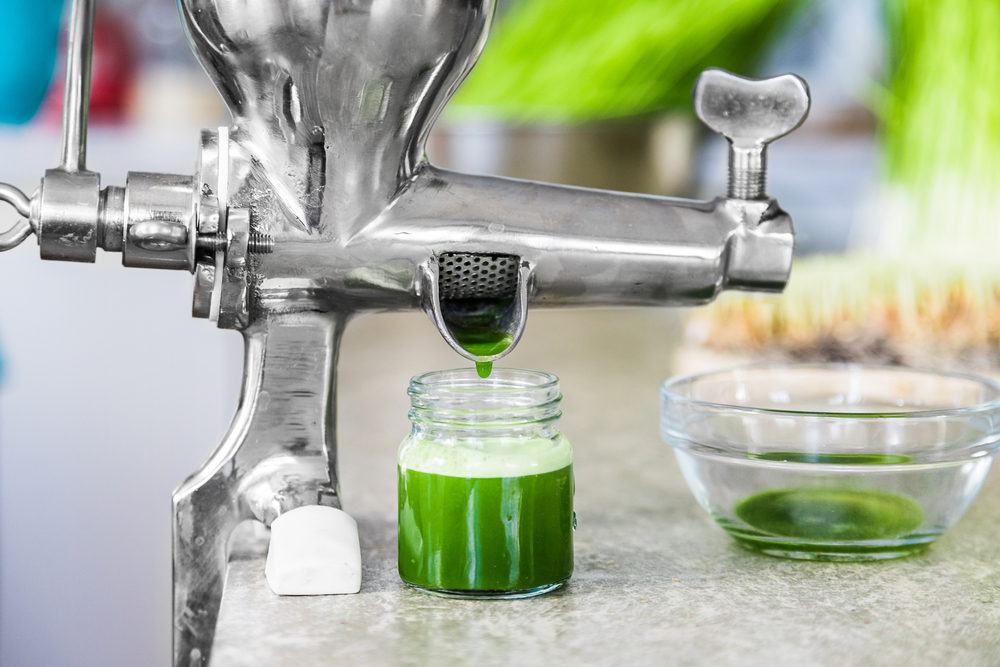 wheatgrass juice benefits